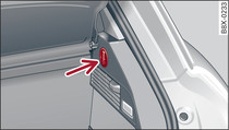 Luggage compartment: Retaining hook (example of right side)